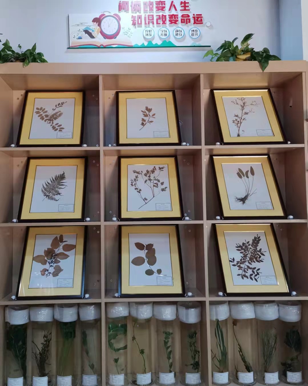 1632363373133455.jpg 1632363373133455.jpg