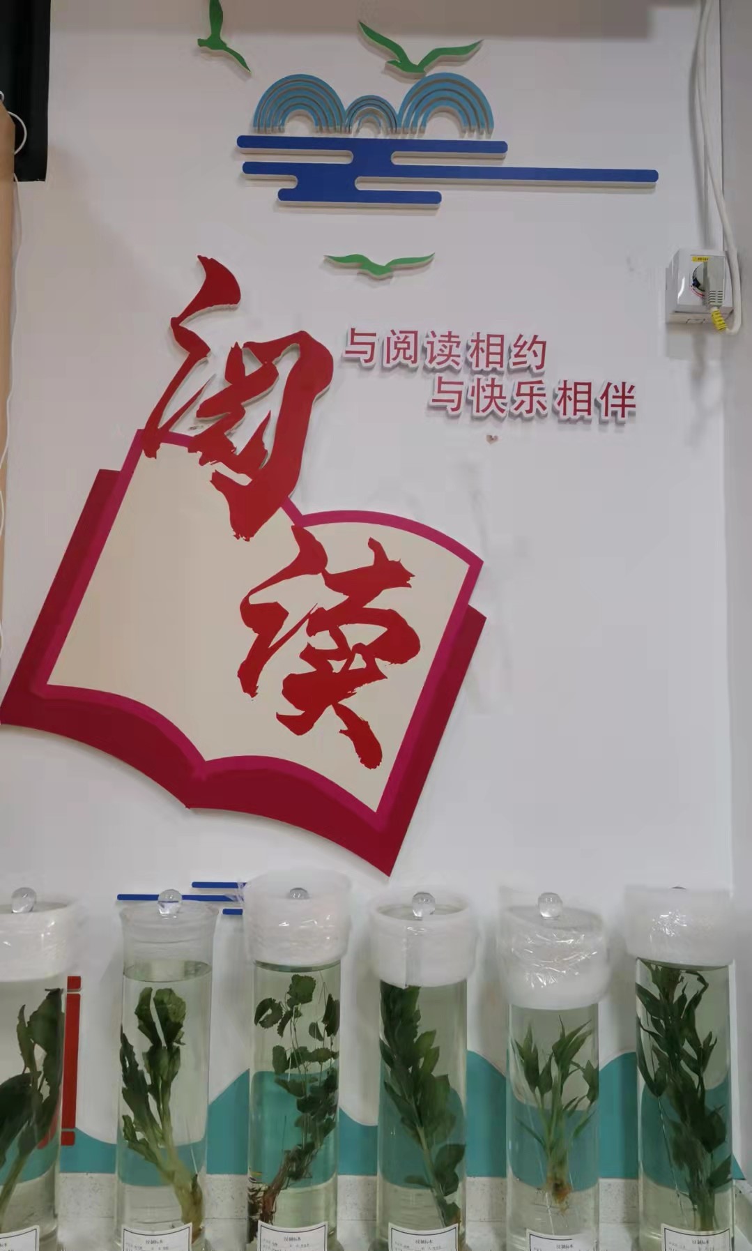 1632363397730037.jpg 1632363397730037.jpg