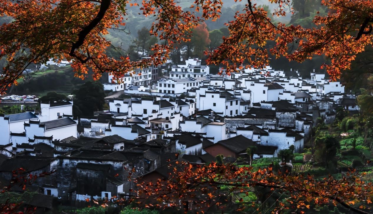 1636102252554584.jpg 20210706-1a.jpg