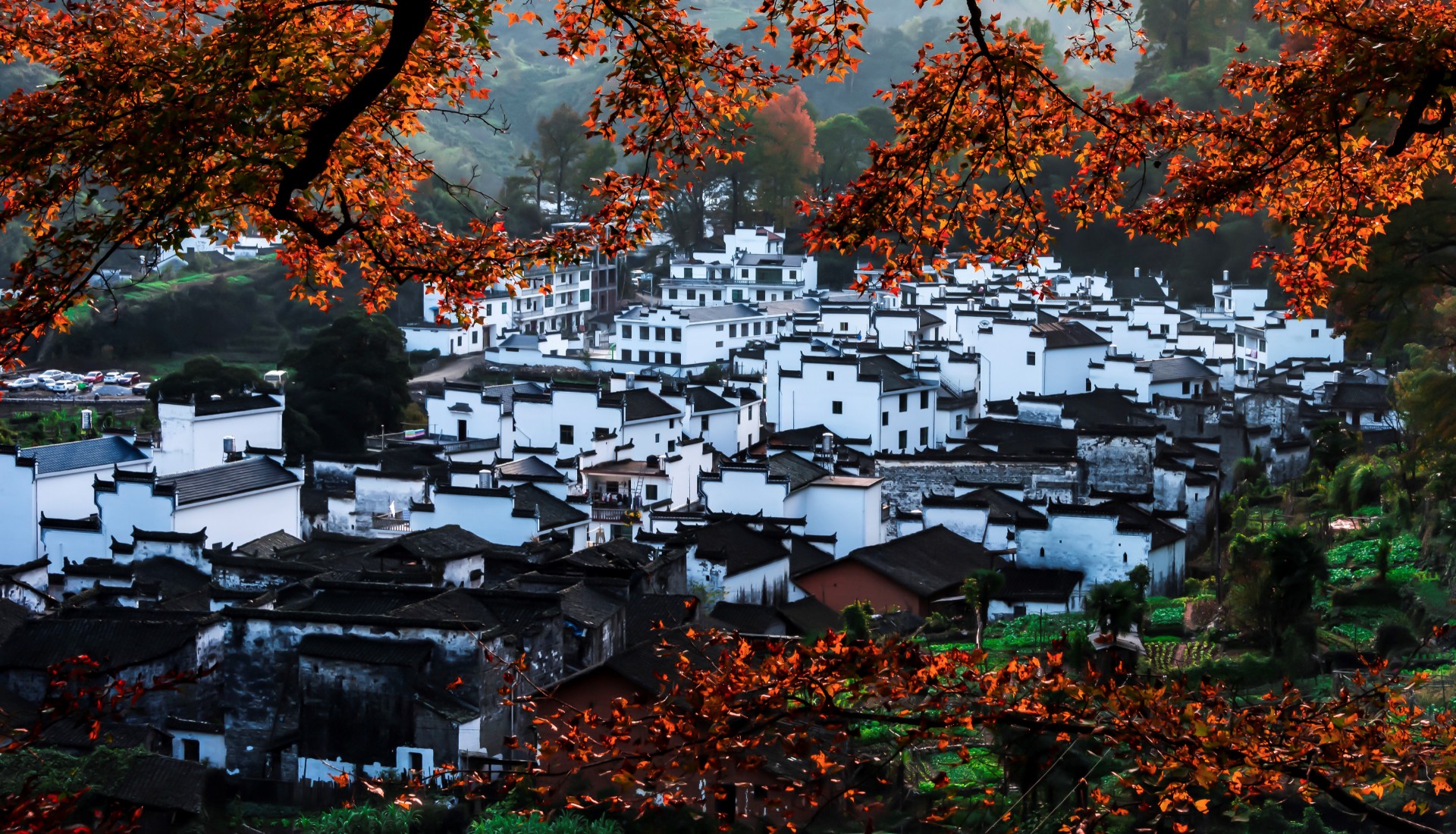 1640748474449242.jpg 20211228-4.jpg