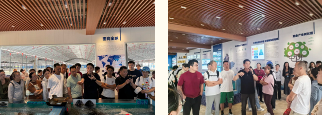 1761617800635500.png 172f4150-11b4-4e0f-93f6-9cc78bda963d.png