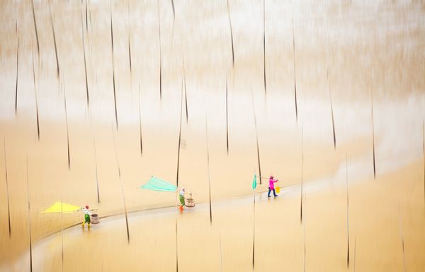 张平《出海》-《大众摄影》联展入展